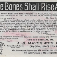 A.B. Mayer Bone Fertilizer (b).jpg